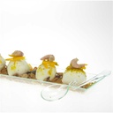 Assiette 50ml (25pcs)