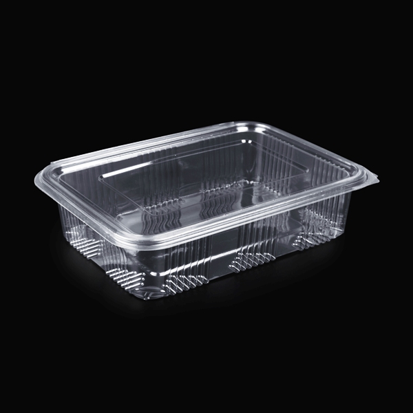 Ravier avec couvercle à charnière rectangulaire PET 1500ml 24x17cm 200pcs