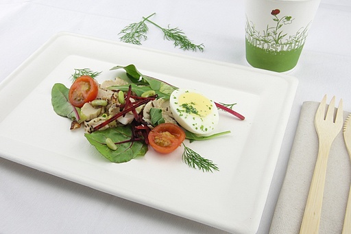 [PUL2035HC-SAT] Assiette rectangulaire blanc BEPULP 20x28cm 8x40pcs